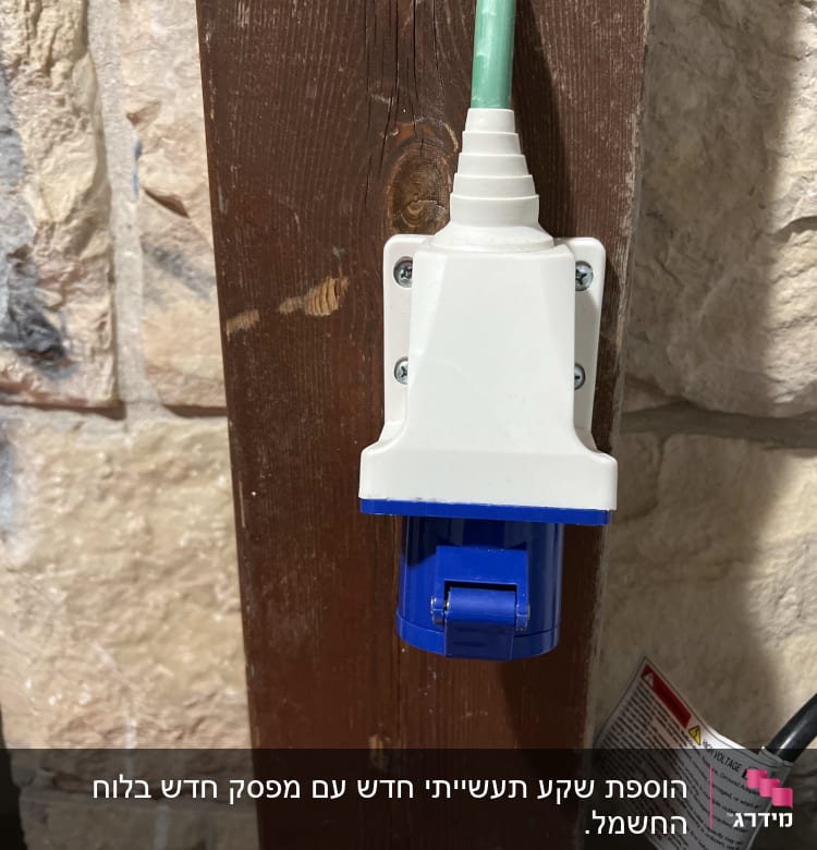 שקע חשמלי כחול ולבן מותקן על עץ